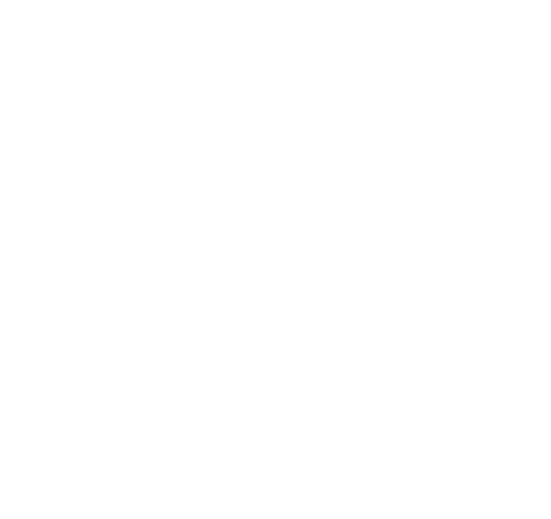 The Origin